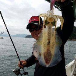 Magic（マジック） 釣果