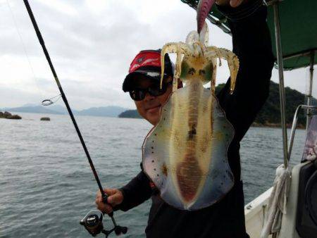 Magic（マジック） 釣果