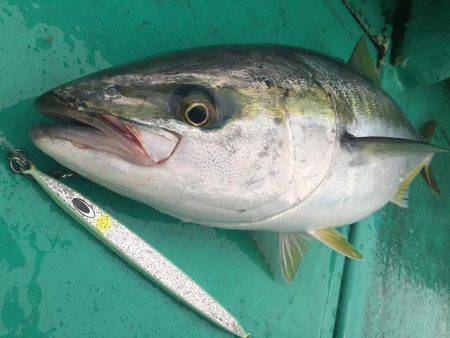 広進丸 釣果