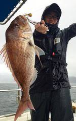 YELLOW-TAIL イエローテール 釣果