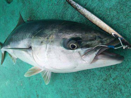 広進丸 釣果