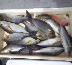 石川丸 釣果