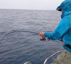 IDATEN(イダテン) 釣果