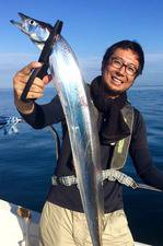 YELLOW-TAIL　イエローテール 釣…