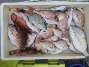 石川丸 釣果