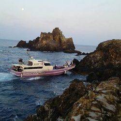 鵜来島家本渡船 釣果