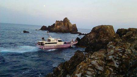 鵜来島家本渡船 釣果