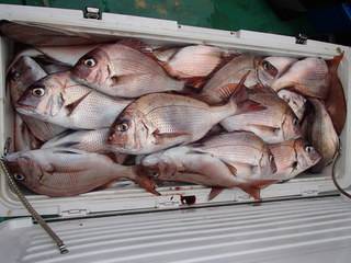 第二むつ漁丸 釣果