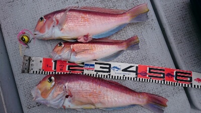 IDATEN(イダテン) 釣果