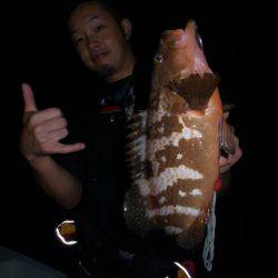 Magic(マジック) 釣果