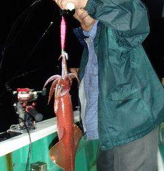 第二むつ漁丸 釣果