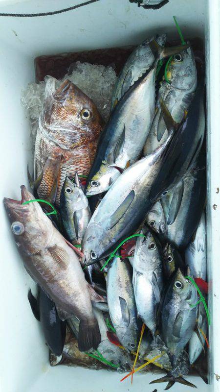 武勝丸（ぶしょうまる） 釣果