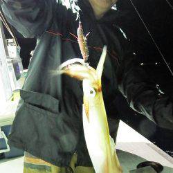 第三むつりょう丸 釣果