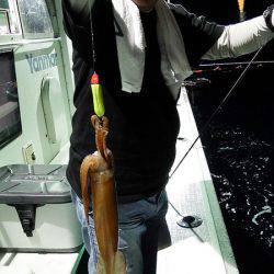 第三むつりょう丸 釣果