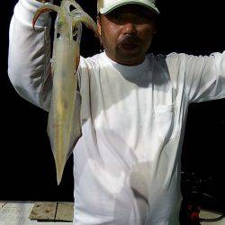 第三むつりょう丸 釣果