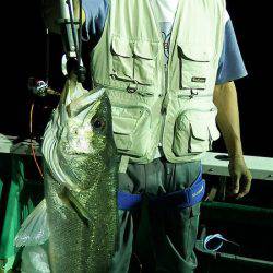 第三むつりょう丸 釣果