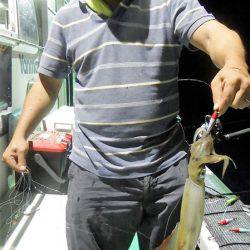 第三むつりょう丸 釣果