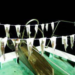 第三むつりょう丸 釣果