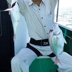 第三むつりょう丸 釣果