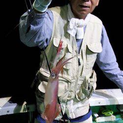 第三むつりょう丸 釣果