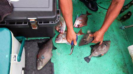 第三むつりょう丸 釣果