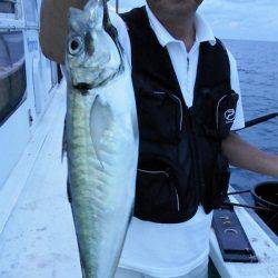 第三むつりょう丸 釣果