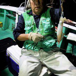 第三むつりょう丸 釣果