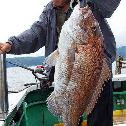 第三むつりょう丸 釣果