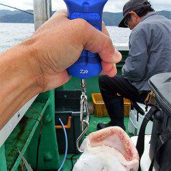 第三むつりょう丸 釣果