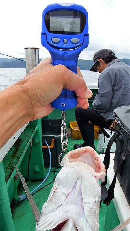 第三むつりょう丸 釣果