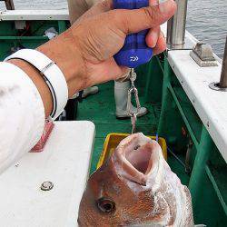 第三むつりょう丸 釣果