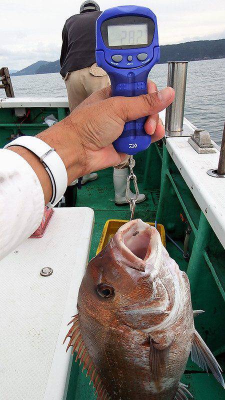 第三むつりょう丸 釣果