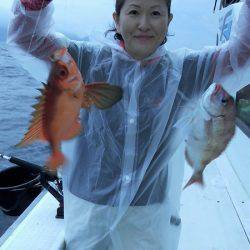 第三むつりょう丸 釣果