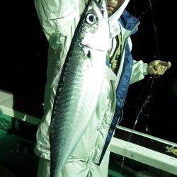 第三むつりょう丸 釣果