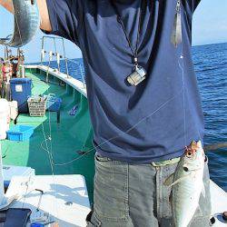 第三むつりょう丸 釣果