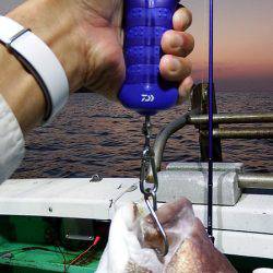 第三むつりょう丸 釣果