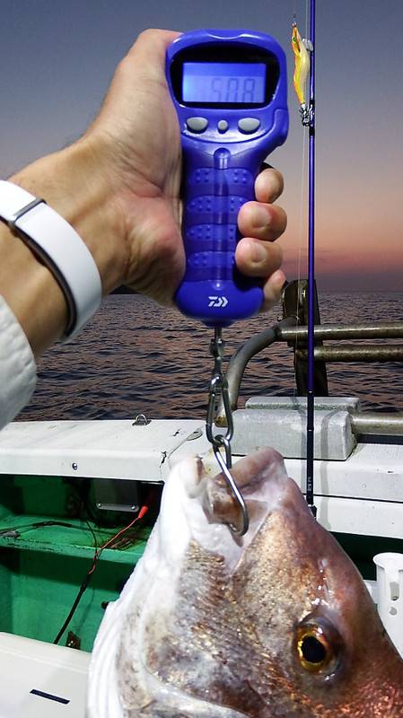 第三むつりょう丸 釣果