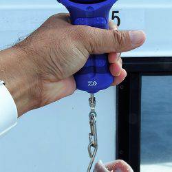 第三むつりょう丸 釣果