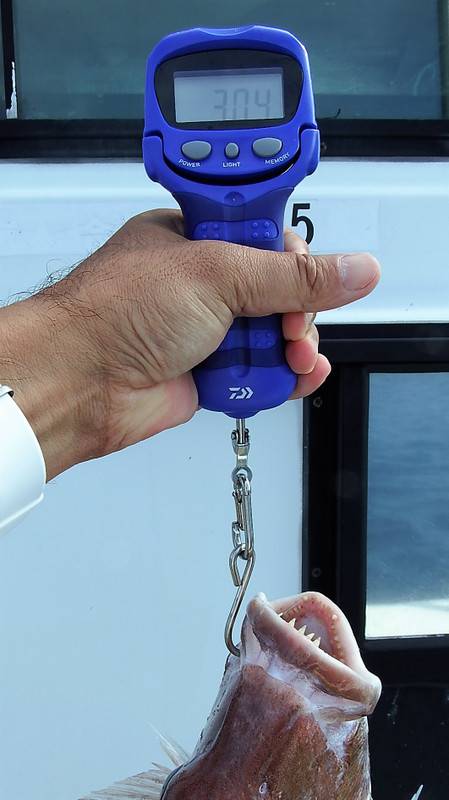 第三むつりょう丸 釣果