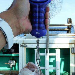 第三むつりょう丸 釣果