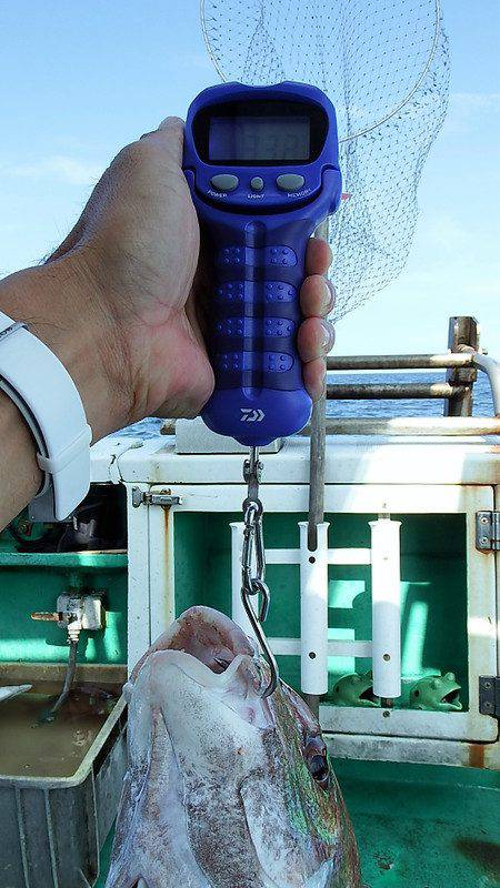 第三むつりょう丸 釣果