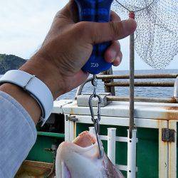 第三むつりょう丸 釣果