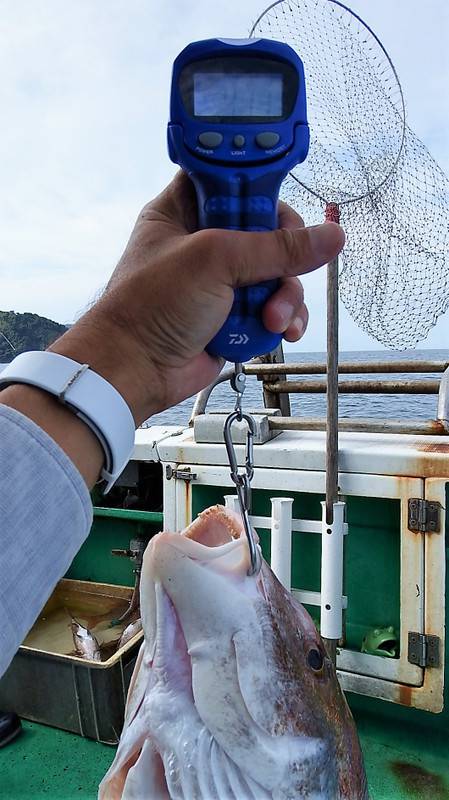 第三むつりょう丸 釣果