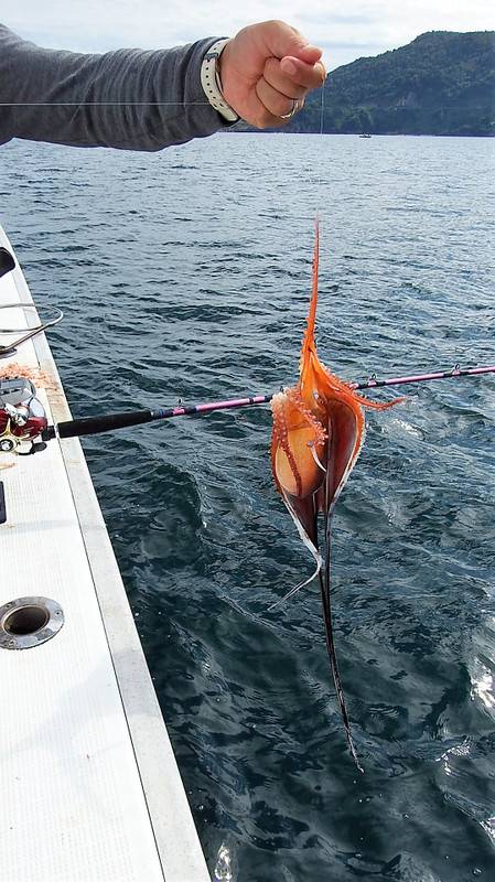 第三むつりょう丸 釣果