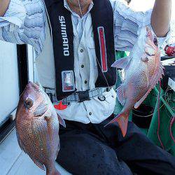 第三むつりょう丸 釣果