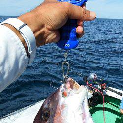 第三むつりょう丸 釣果