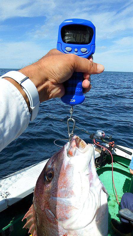第三むつりょう丸 釣果