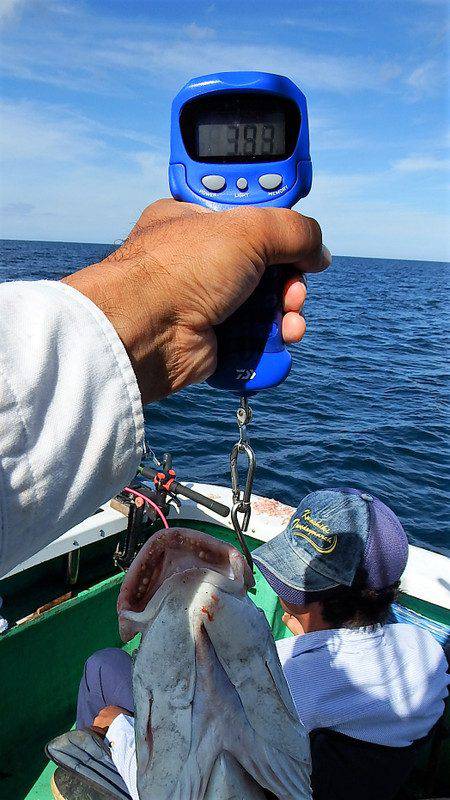 第三むつりょう丸 釣果