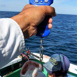 第三むつりょう丸 釣果