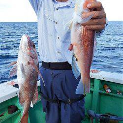 第三むつりょう丸 釣果